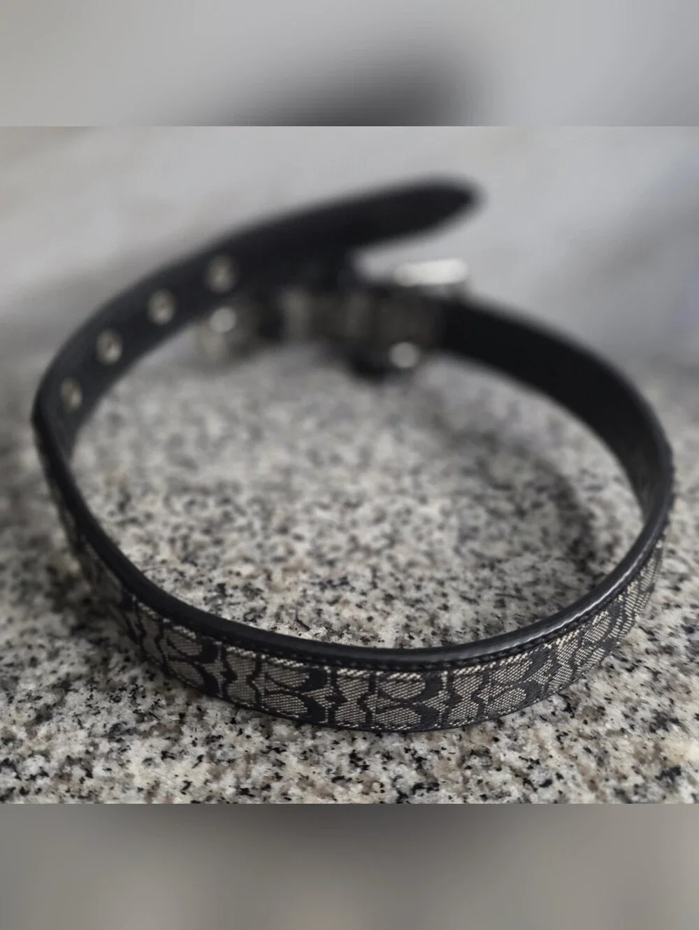 Authentic Coach Signature Black Gray Logo Dog Cat Pet Collar 4003 Medium Retired